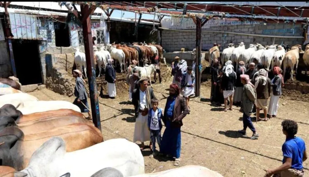 غلاء الأضاحي يشل فرحة العيد في اليمن