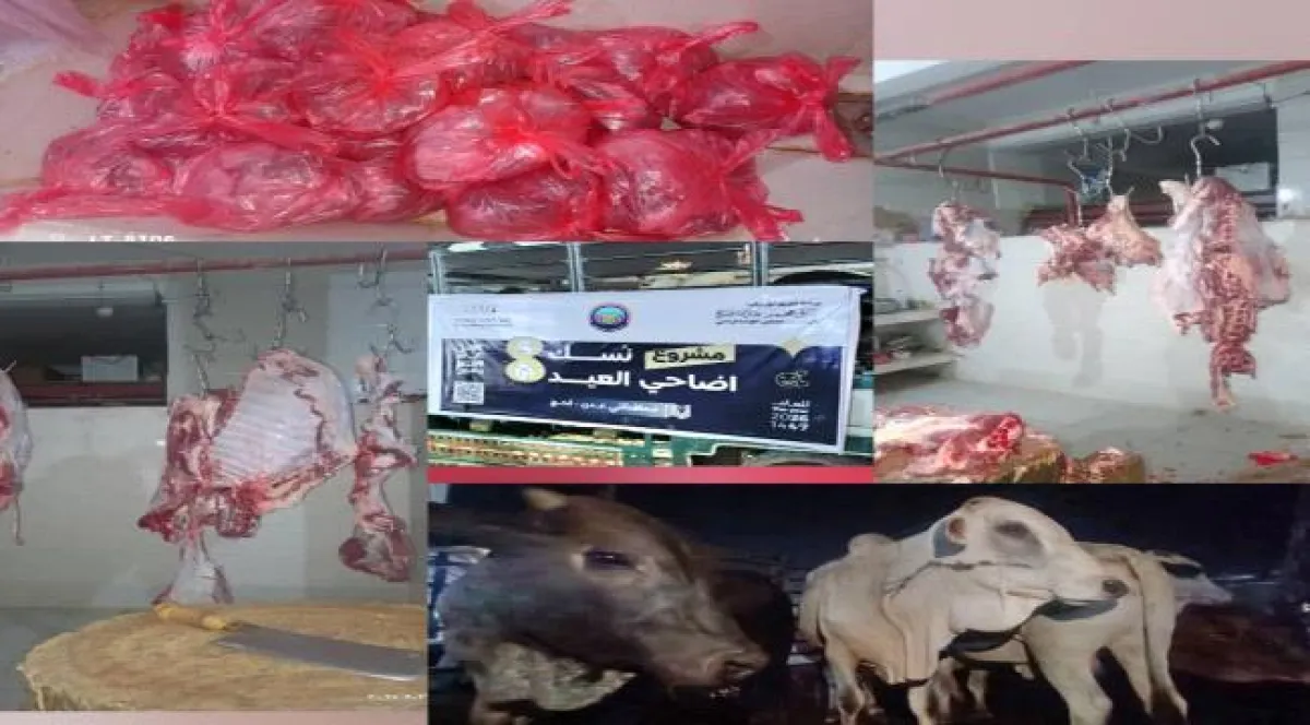 الخلية الإنسانية للمقاومة الوطنية توزع أضاحي العيد على ألف أسرة في عدن ولحج