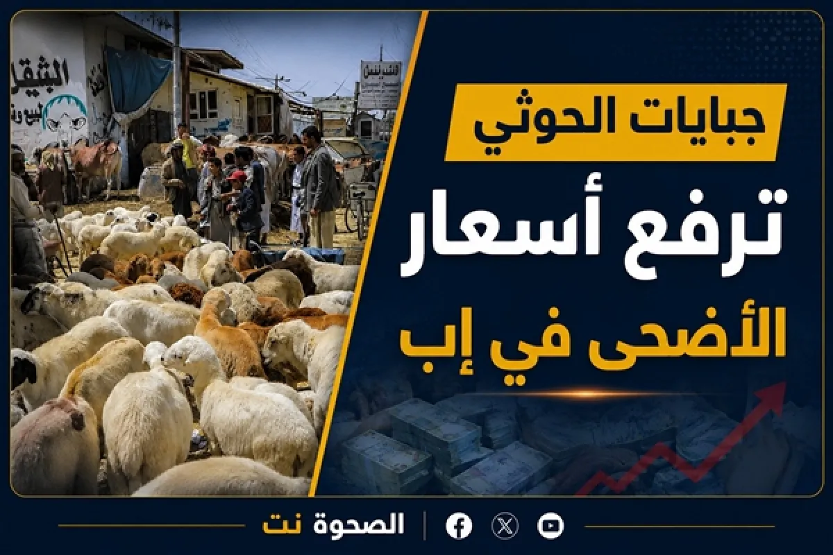 جبايات الحوثي ترفع أسعار الأضاحي في إب إلى مستويات قياسية