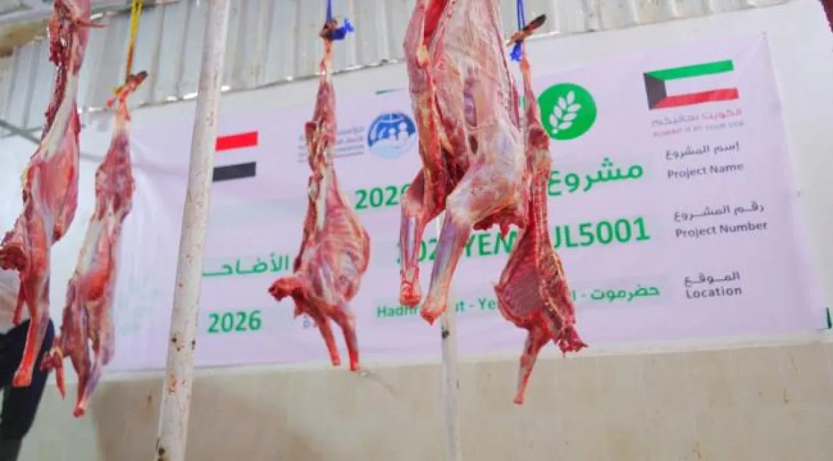 بدعم من العون المباشر الكويتية.. تدشين توزيع مشروع الأضاحي لـ1320 مستفيداً في محافظة حضرموت