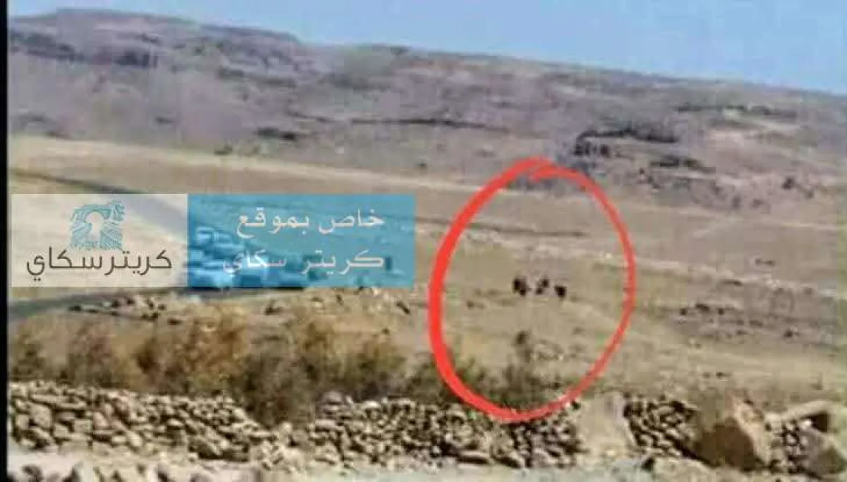 نجل الرئيس الأسبق علي عبدالله صالح ينشر صورة توثق اللحظات الأخيرة لوالده