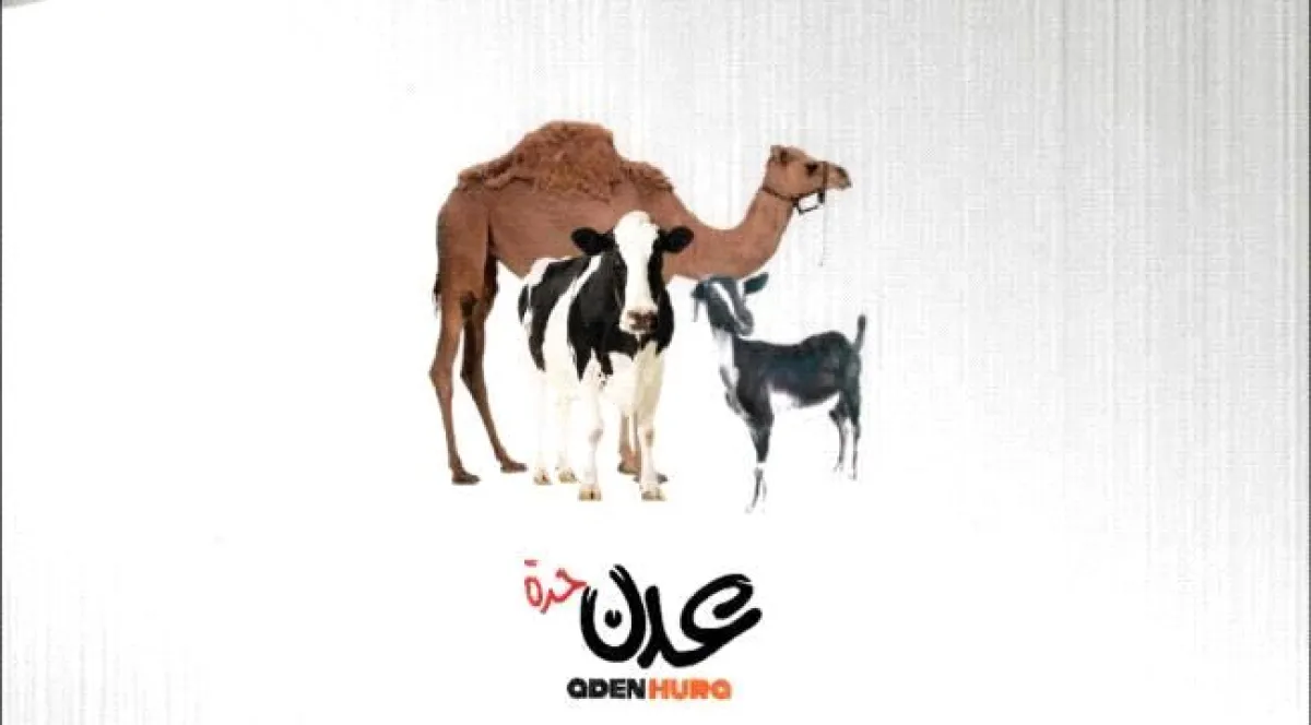 أسعار المواشي المحلية اليوم الثلاثاء "2 يونيو"