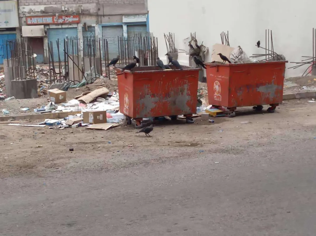 بعد تخلي جهات الاختصاص عن مكافحتها.. مواطن يشن حملة على اسراب "الغربان" في عدن