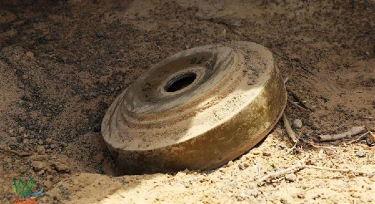 لغم حوثي يقتل طفلاً ويصيب آخر ببتر ساقه في نهم