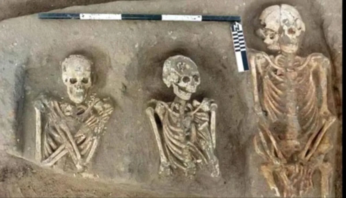 اكتشاف جبانة أثرية من العصر اليوناني الروماني تكشف أسرار الحياة القديمة في دلتا مصر