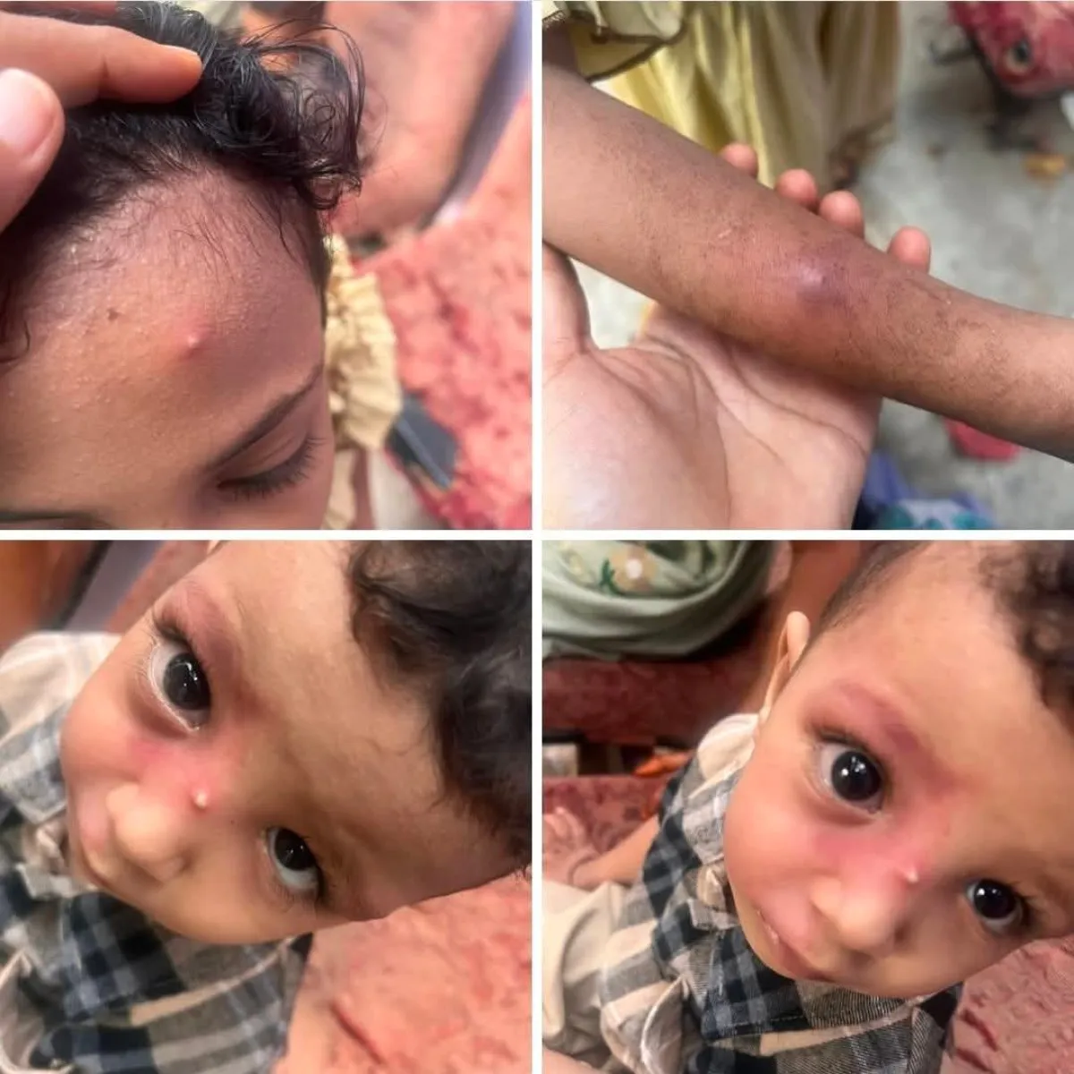 العبيدي يدعو الى انقاذ عدن