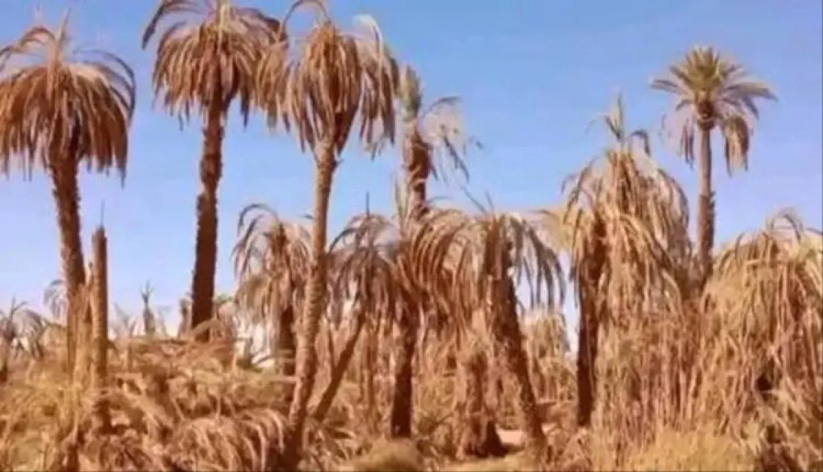 السودان يواجه صيفاً قاسياً.. حرارة مرتفعة وأزمات كهرباء ومياه تتفاقم