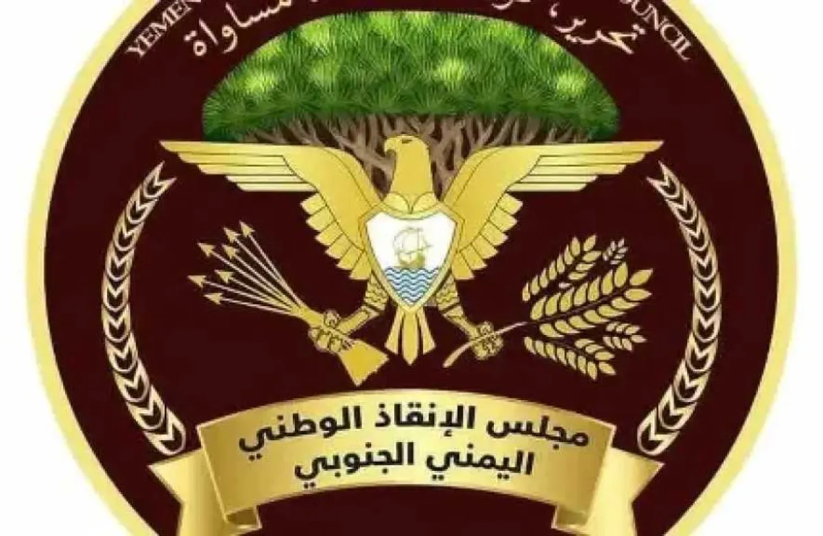 مجلس الإنقاذ الوطني الجنوبي يدعو إلى حوار شامل ويحذر من تداعيات قمع الاحتجاجات