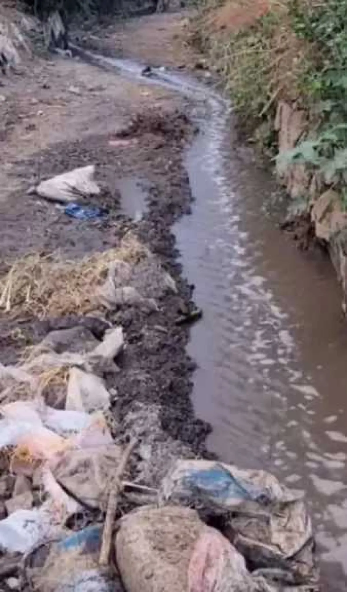 استياء واسع في صنعاء من استخدام مياه الصرف في ري مزروعات