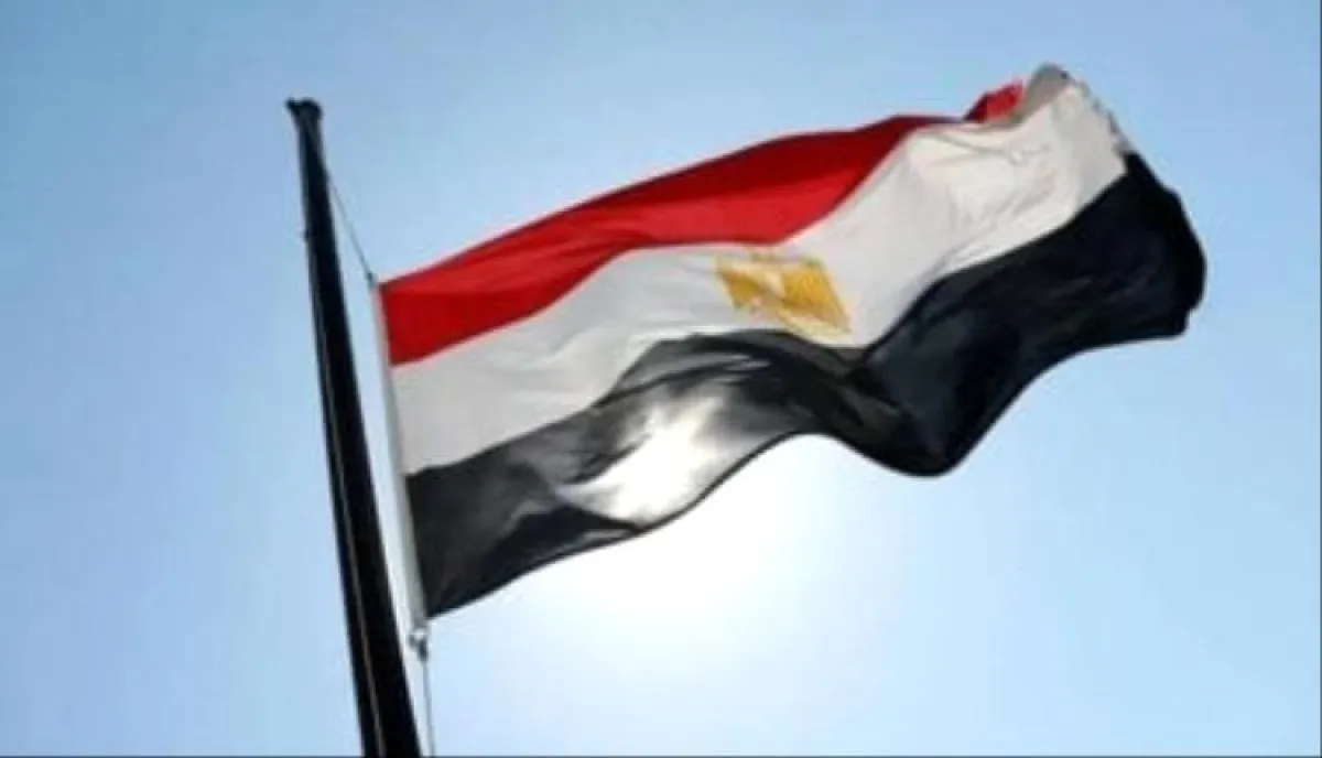 مصر تؤكد ثبات موقفها من القضية الفلسطينية ودعم حل الدولتين